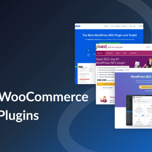Create website using pro plugins, setup woocommerce