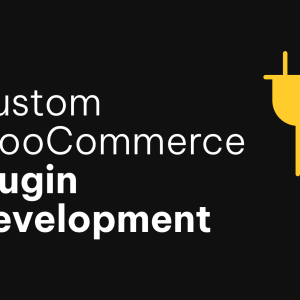Setup custom plugin, woocommerce plugin extension
